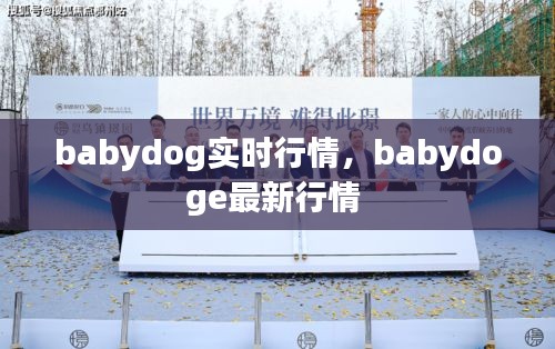 babydog實(shí)時(shí)行情，babydoge最新行情 