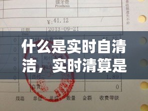 什么是實時自清潔，實時清算是什么意思 