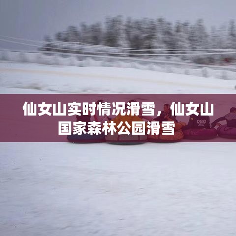 仙女山實時情況滑雪，仙女山國家森林公園滑雪 