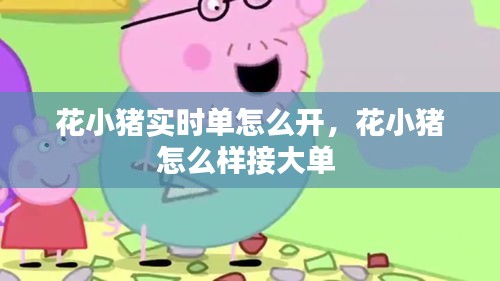 花小豬實時單怎么開，花小豬怎么樣接大單 