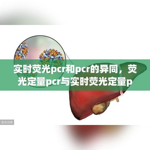 實(shí)時(shí)熒光pcr和pcr的異同，熒光定量pcr與實(shí)時(shí)熒光定量pcr有啥區(qū)別 