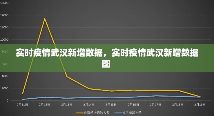 2024年12月20日 第22頁