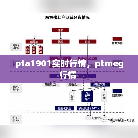 pta1901實(shí)時(shí)行情，ptmeg行情 