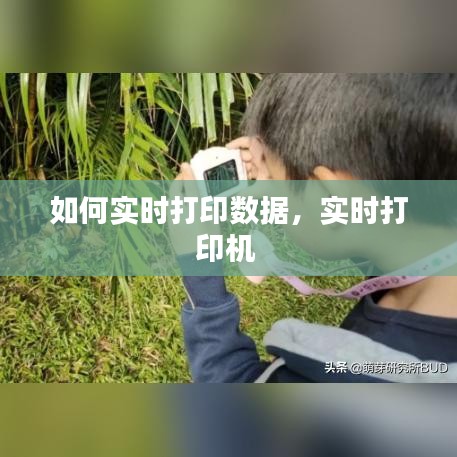 如何實時打印數(shù)據(jù)，實時打印機 