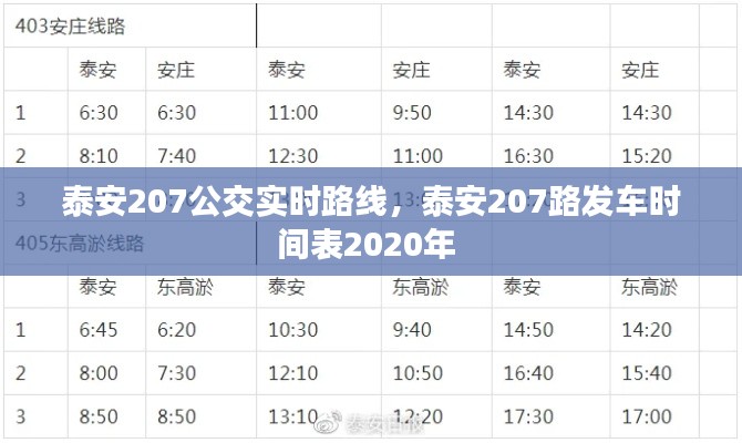 泰安207公交實(shí)時(shí)路線，泰安207路發(fā)車時(shí)間表2020年 