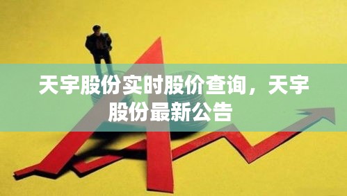 天宇股份實(shí)時(shí)股價(jià)查詢，天宇股份最新公告 