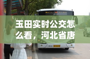 玉田實(shí)時(shí)公交怎么看，河北省唐山市玉田縣公交車 