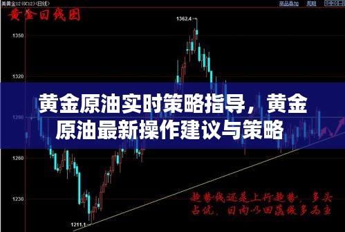 黃金原油實(shí)時(shí)策略指導(dǎo)，黃金原油最新操作建議與策略 