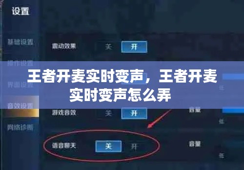 王者開麥實時變聲，王者開麥實時變聲怎么弄 