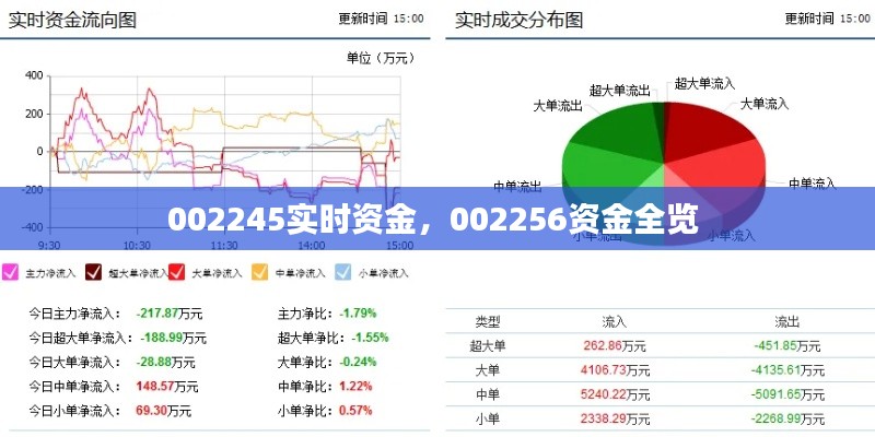 002245實時資金，002256資金全覽 