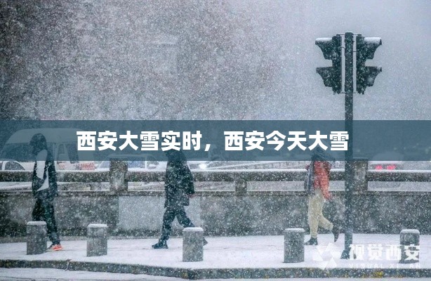 西安大雪實時，西安今天大雪 