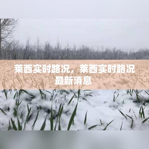 萊西實(shí)時(shí)路況，萊西實(shí)時(shí)路況最新消息 