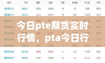 今日pte期貨實時行情，pta今日行情 