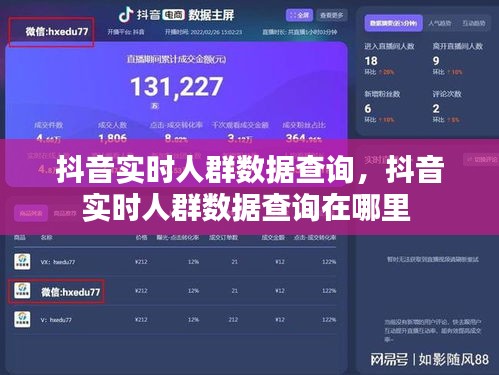 抖音實時人群數(shù)據(jù)查詢，抖音實時人群數(shù)據(jù)查詢在哪里 