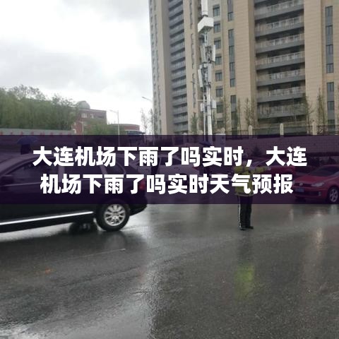 大連機場下雨了嗎實時，大連機場下雨了嗎實時天氣預報 