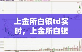 上金所白銀td實(shí)時(shí)，上金所白銀庫(kù)存 