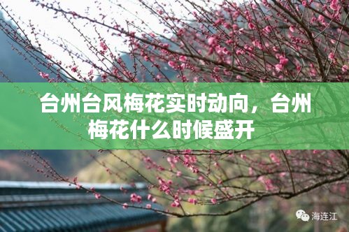 臺州臺風梅花實時動向，臺州梅花什么時候盛開 