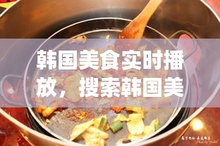 韓國美食實時播放，搜索韓國美食 