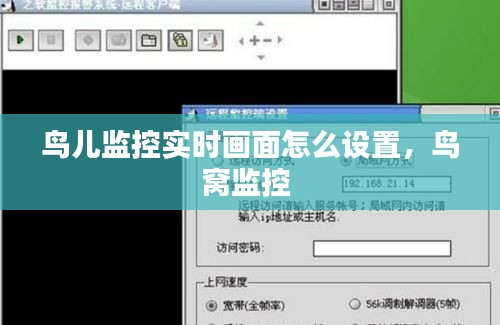 鳥兒監(jiān)控實(shí)時(shí)畫面怎么設(shè)置，鳥窩監(jiān)控 