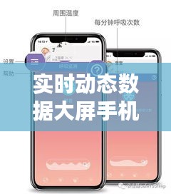 實時動態(tài)數(shù)據(jù)大屏手機(jī)版，實時動態(tài)意思 