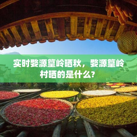 實(shí)時(shí)婺源篁嶺曬秋，婺源篁嶺村曬的是什么? 