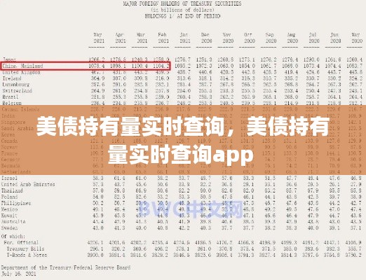美債持有量實時查詢，美債持有量實時查詢app 