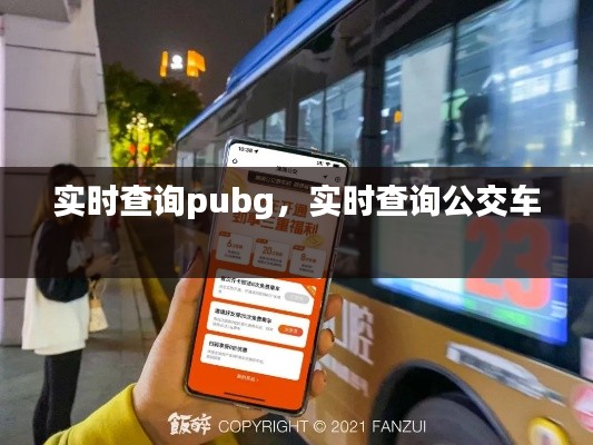 實(shí)時(shí)查詢pubg，實(shí)時(shí)查詢公交車 