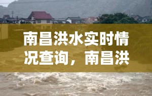 南昌洪水實(shí)時(shí)情況查詢，南昌洪水災(zāi)害 