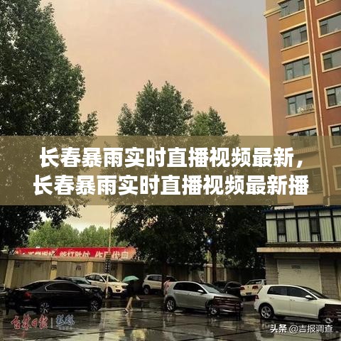 長春暴雨實時直播視頻最新，長春暴雨實時直播視頻最新播放 