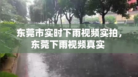 東莞市實(shí)時(shí)下雨視頻實(shí)拍，東莞下雨視頻真實(shí) 