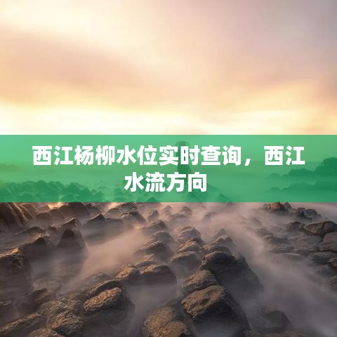 西江楊柳水位實時查詢，西江水流方向 