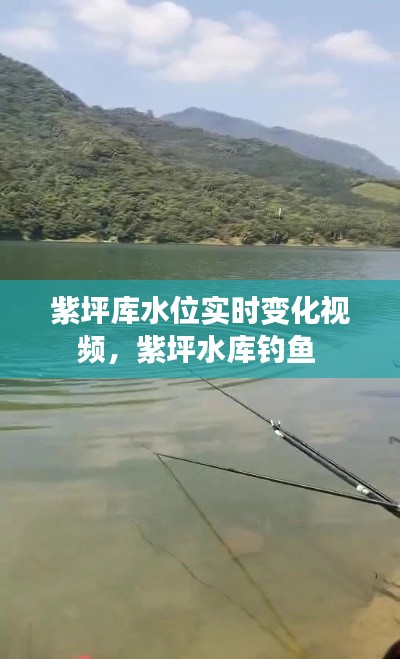 紫坪庫水位實時變化視頻，紫坪水庫釣魚 