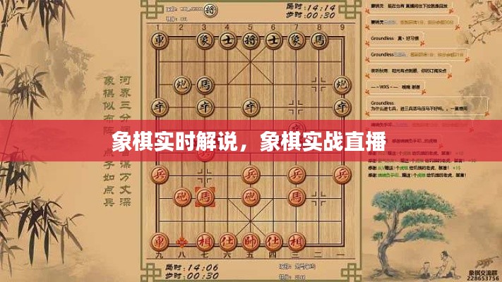 象棋實(shí)時解說，象棋實(shí)戰(zhàn)直播 