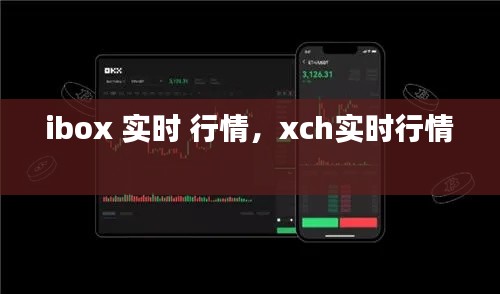 ibox 實(shí)時(shí) 行情，xch實(shí)時(shí)行情 