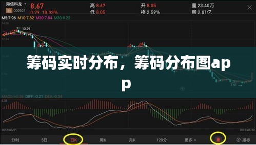 籌碼實(shí)時(shí)分布，籌碼分布圖app 