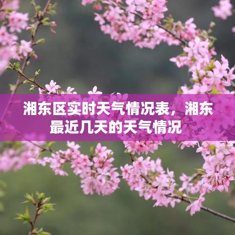 湘東區(qū)實(shí)時(shí)天氣情況表，湘東最近幾天的天氣情況 