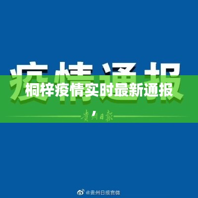 桐梓疫情實時最新通報， 