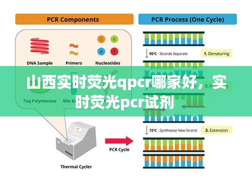 山西實(shí)時(shí)熒光qpcr哪家好，實(shí)時(shí)熒光pcr試劑 