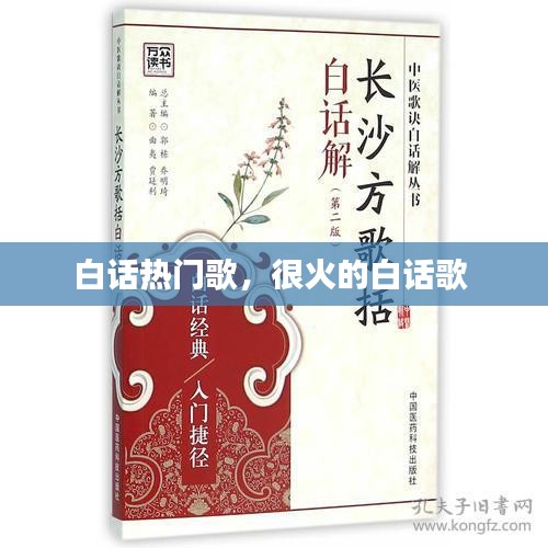 白話熱門歌，很火的白話歌 