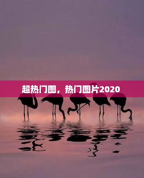 超熱門(mén)圖，熱門(mén)圖片2020 