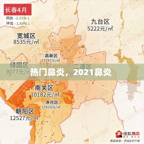 熱門鼻炎，2021鼻炎 