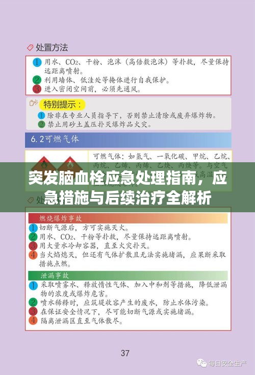 突發(fā)腦血栓應(yīng)急處理指南，應(yīng)急措施與后續(xù)治療全解析