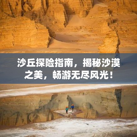 沙丘探險(xiǎn)指南，揭秘沙漠之美，暢游無(wú)盡風(fēng)光！