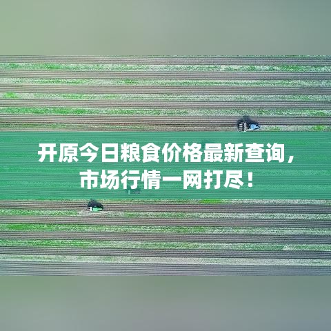 開原今日糧食價(jià)格最新查詢，市場(chǎng)行情一網(wǎng)打盡！