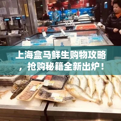 上海盒馬鮮生購(gòu)物攻略，搶購(gòu)秘籍全新出爐！