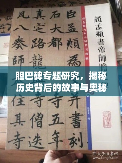 膽巴碑專題研究，揭秘歷史背后的故事與奧秘