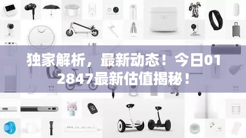獨(dú)家解析，最新動(dòng)態(tài)！今日012847最新估值揭秘！