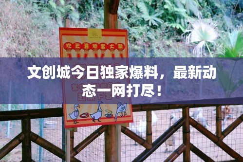 文創(chuàng)城今日獨(dú)家爆料，最新動(dòng)態(tài)一網(wǎng)打盡！