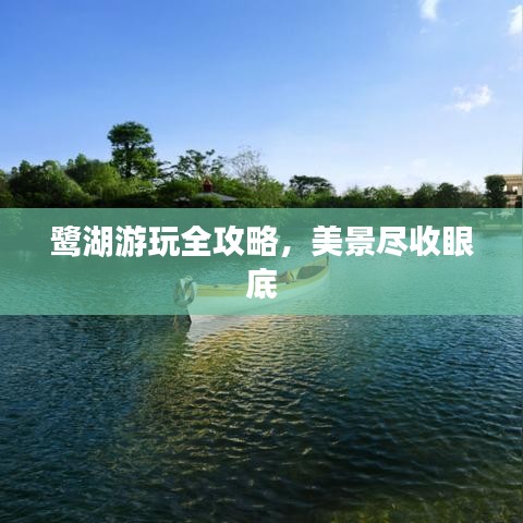 鷺湖游玩全攻略，美景盡收眼底
