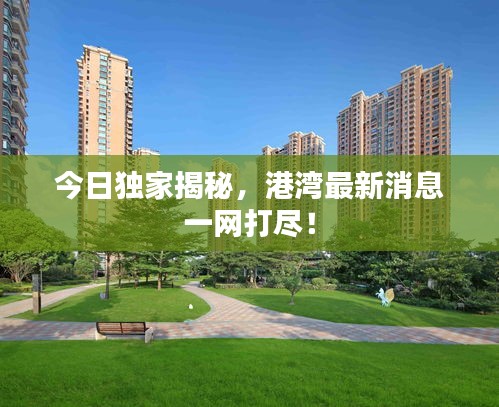 今日獨(dú)家揭秘，港灣最新消息一網(wǎng)打盡！
